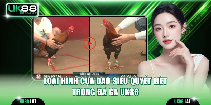 Loại hình cựa dao siêu quyết liệt trong đá gà UK88