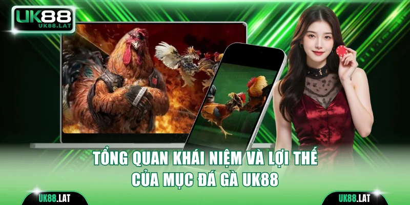 Tổng quan khái niệm và lợi thế của mục đá gà UK88